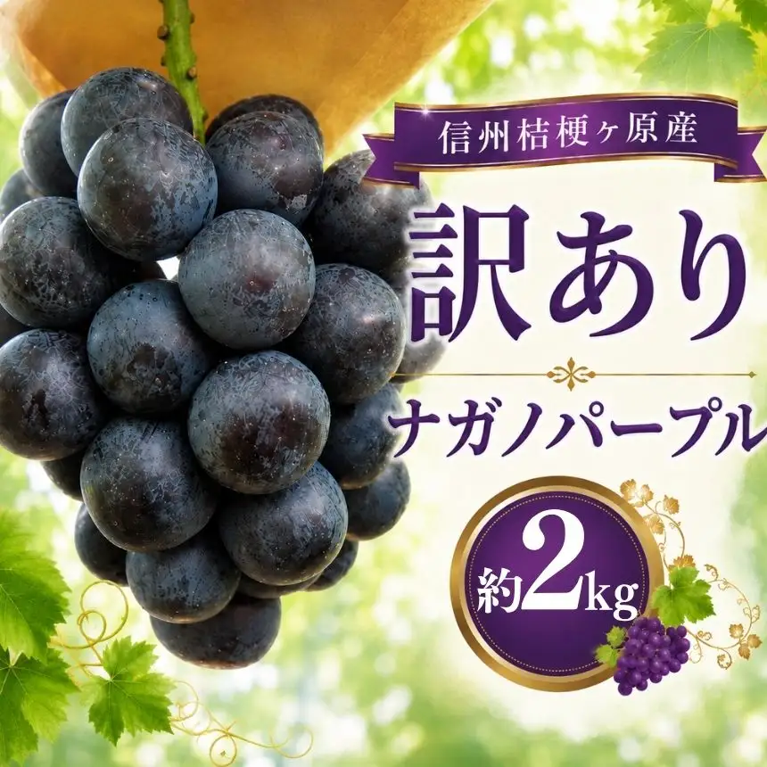 【2026年先行予約】訳あり 信州桔梗ヶ原産 ナガノパープル 約2kg