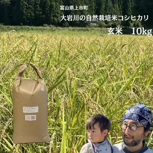【令和7年産】米 上市町産  大岩川の自然栽培米コシヒカリ（玄米）10kg [有吉自然農場] お米 コメ ご飯 ごはん こしひかり 富山県産