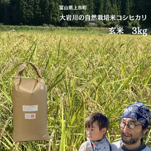【令和7年産】米 上市町産  大岩川の自然栽培米コシヒカリ（玄米）3kg [有吉自然農場] お米 コメ ご飯 ごはん こしひかり 富山県産