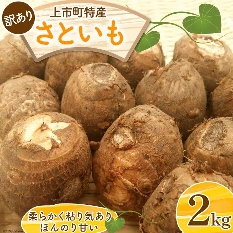 【先行予約】【訳あり】上市特産品 規格外 里芋 2kg [LINK&ROOTS 富山県 上市町 32280240-r6-01] さといも サトイモ おでん 煮物 豚汁 傷あり