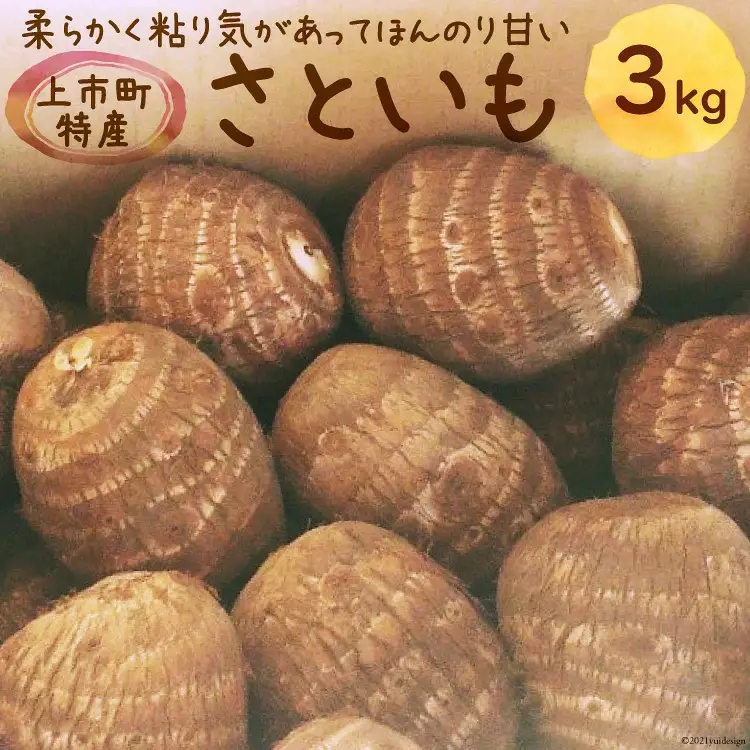 【先行予約】上市町産 さといも 3kg [LINK&ROOTS 富山県 上市町 32280241-r6-01] 里芋 サトイモ 野菜 美味しい 特産品