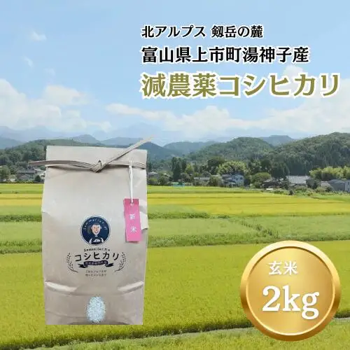 【令和7年産】減農薬 上市町湯神子産コシヒカリ（玄米）2kg　 [ソムリエH 富山県 上市町 32280233-r6-01] 　お米 コメ ご飯 ごはん 玄米ご飯 玄米ごはん こしひかり