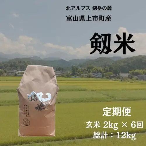 【毎月1回お届け】【定期便】【令和7年産】上市町産コシヒカリ「剱米」（玄米）2kg x 6回 計12kg　 [ソムリエH 富山県 上市町 32280253-r6-01】 米 ６ヶ月 6回定期便 定期購入 お米 コメ ご飯 ごはん 玄米ご飯 玄米ごはん こしひかり
