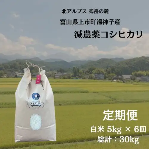 【毎月1回お届け】【定期便】【令和7年産】減農薬 上市町湯神子産コシヒカリ（白米）5kg x 6回 計30kg　 [ソムリエH 富山県 上市町 32280252-r6-02】 米 ６ヶ月 6回定期便 定期購入 お米 コメ ご飯 ごはん 白米ご飯 白米ごはん こしひかり