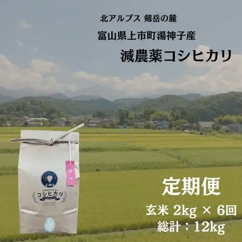 【毎月1回お届け】【定期便】【令和7年産】減農薬 上市町湯神子産コシヒカリ（玄米）2kg x 6回 計12kg　 [ソムリエH 富山県 上市町 32280251-r6-01】 米 ６ヶ月 6回定期便 定期購入 お米 コメ ご飯 ごはん 玄米ご飯 玄米ごはん こしひかり