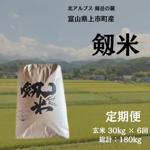【毎月1回お届け】【定期便】【令和7年産】上市町産コシヒカリ「剱米」（玄米）30kg x 6回 計180kg　 [ソムリエH 富山県 上市町 32280253-r6-05】 米 ６ヶ月 6回定期便 定期購入 お米 コメ ご飯 ごはん 玄米ご飯 玄米ごはん こしひかり