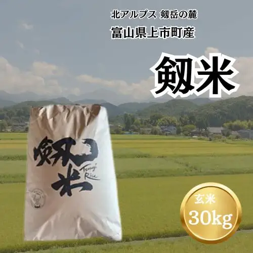 【令和7年産】上市町産コシヒカリ「剱米」（玄米）30kg　 [ソムリエH 富山県 上市町 32280235-r6-05] 　お米 コメ ご飯 ごはん 玄米ご飯 玄米ごはん こしひかり