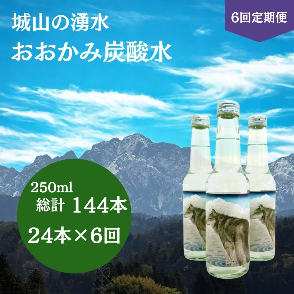 炭酸水 【6回 定期便】 おおかみ炭酸水 250ml×24本 総計 144本 [城山の湧水 富山県 上市町 32280277-r6] 炭酸水 タンサンスイ たんさんすい 湧水 湧き水 スパークリングウォーター 軟水 長期保存