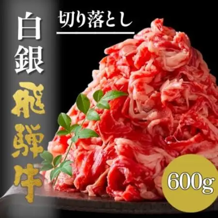 【毎月定期便】A5等級【白銀】飛騨牛切り落し600g全3回【配送不可地域：離島】【4090427】