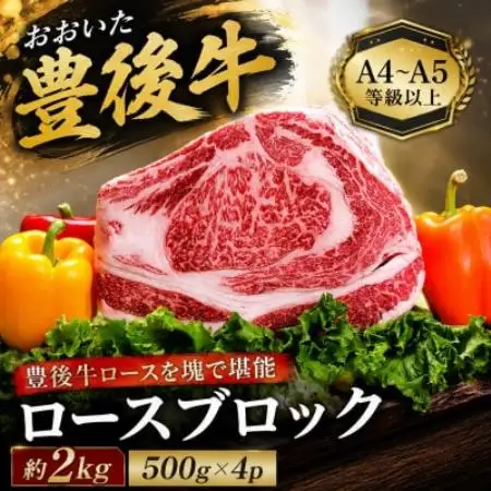【A4～A5】おおいた豊後牛ロースブロック 約2kg(500g×4p)【配送不可地域：離島】【1764411】