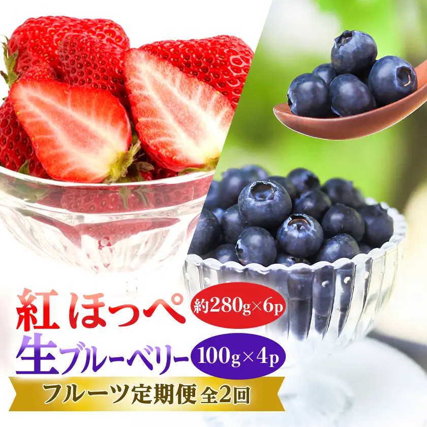 【発送月固定定期便】完熟いちご『紅ほっぺ』約280g×6パックと新鮮で大粒『生ブルーベリー』全2回【配送不可地域：離島・北海道・沖縄県・四国・九州】【4014785】
