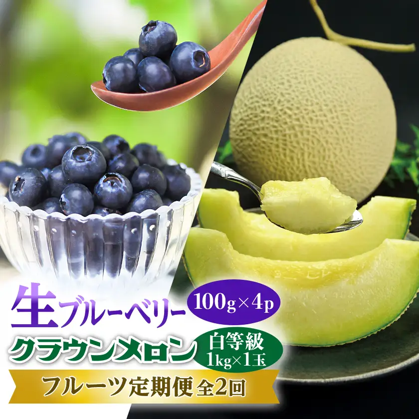 【発送月固定定期便】クラウンメロン (白等級) 1kg 1玉と新鮮で大粒『生ブルーベリー』全2回【配送不可地域：離島・北海道・沖縄県・四国・九州】【4014787】