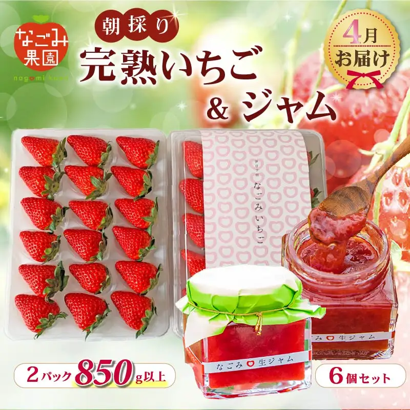 【2027年4月発送】いちご 完熟 2パック なごみジャム 6個 セット 紅ほっぺ