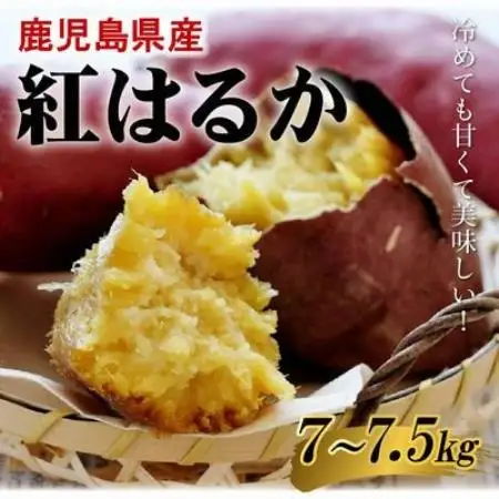 鹿児島県産紅はるか7～7.5kg【1767210】