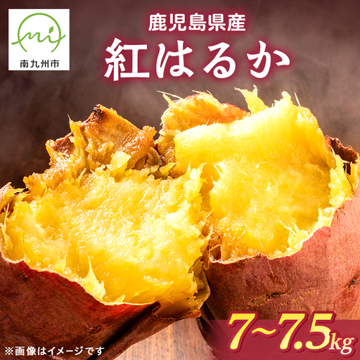鹿児島県産紅はるか7～7.5kg【1767210】