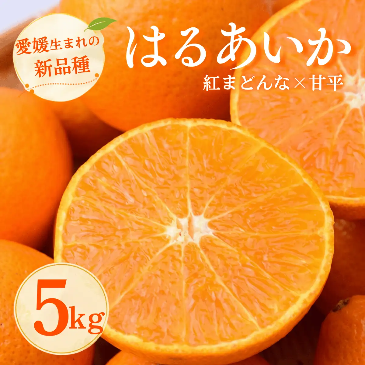 はるあいか 5kg 秀S～４Lサイズ みかん