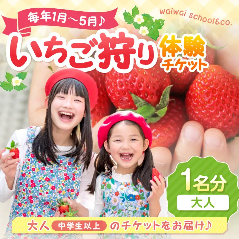 いちご狩り体験チケット（大人1名）【ふるさと納税3.0】【117D-002】