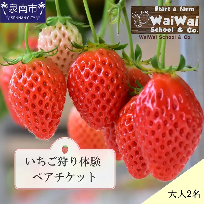 いちご♡ ハリトス2個セット いちご狩り体験ペアチケット（大人2名）【ふるさと納税3.0】【117D-003