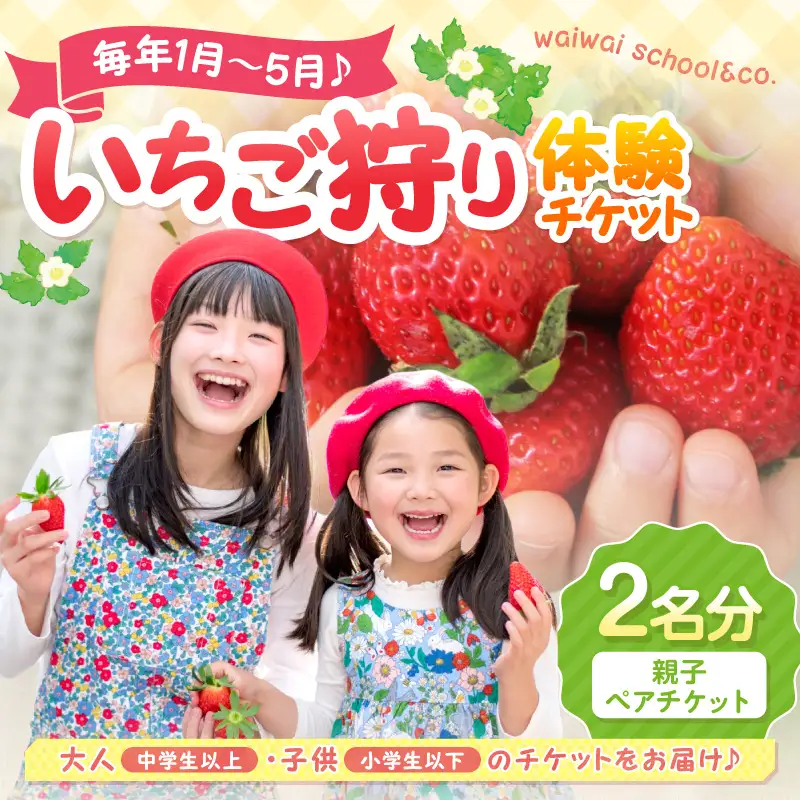 いちご狩り体験ペアチケット（大人1名・小人1名）【ふるさと納税3.0】【117D-004】