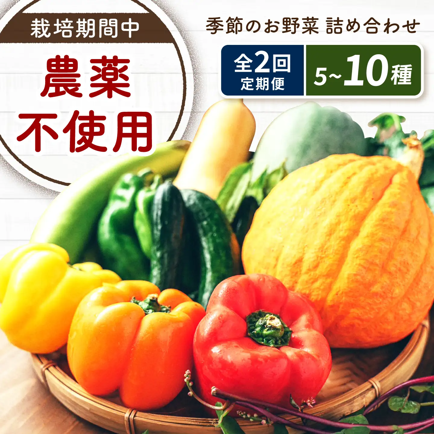 野菜 【全2回定期便】季節の野菜詰め合わせ [BAHK002] 野菜