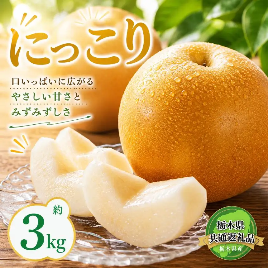 【2026年先行予約】栃木県共通返礼品 宇都宮産 にっこり 3kg | にっこり 新高 豊水 梨 なし 新品種 先行予約 大粒 新鮮 甘い 美味しい 果物 共通返礼品 フルーツ デザート 栃木県 那珂川町 送料無料