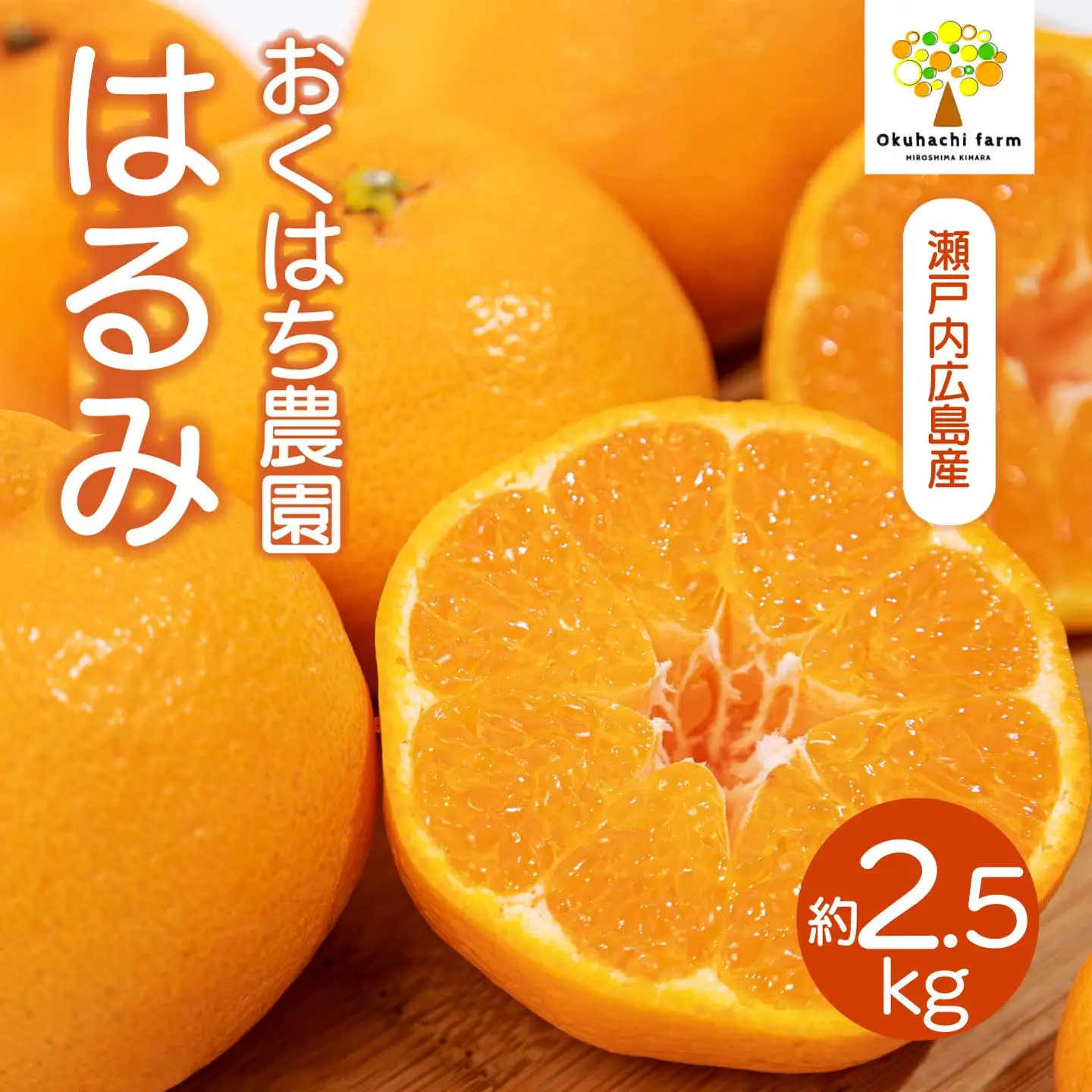 はるみ 2.5kg 《2027年2～3月発送予定》 栽培期間中 防腐剤 ワックス 不使用 おくはち農園 旬 柑橘 かんきつ フルーツ 果物 瀬戸内 166025