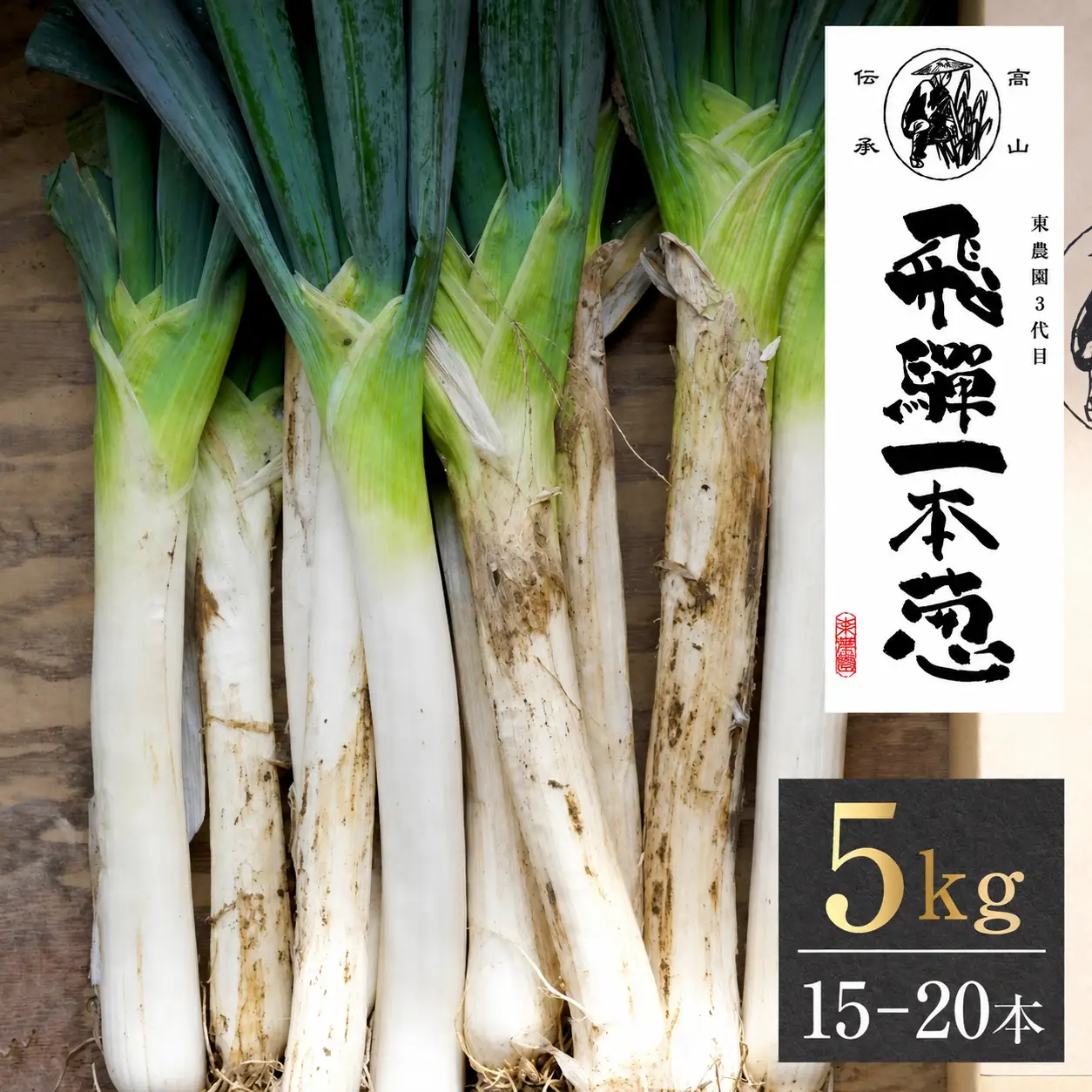 【先行予約】飛騨一本葱 プレミアム5キロ（15本‐20本） 葱 ねぎ JY005