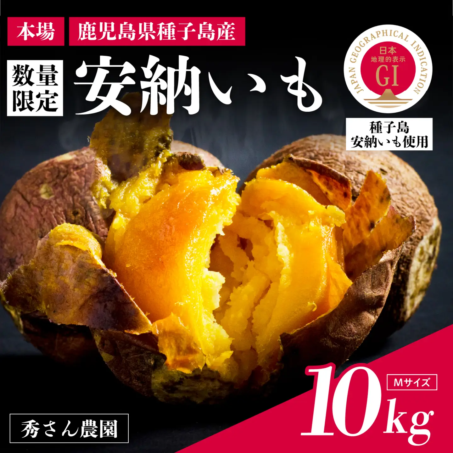 【先行予約】種子島 安納いも 10kg（Mサイズ：200g～300g）（秀さん農園）さつまいも 本場 安納芋 安納紅 安納こがね さつま芋 甘い ねっとり スイーツ おやつ グルメ お取り寄せ 人気 種子島産 返礼品 南種子町 鹿児島【南種子町観光物産館 トンミー市場】