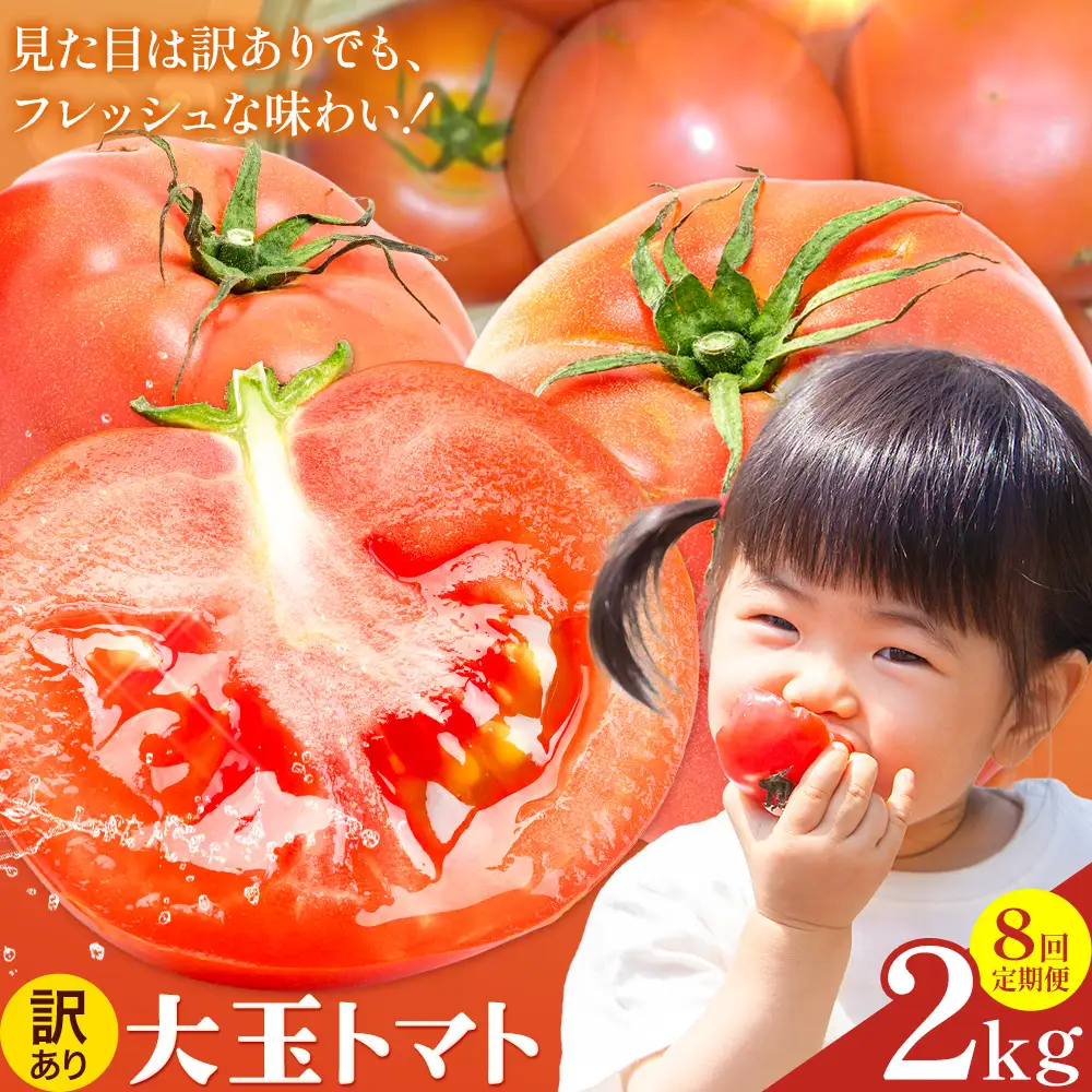 【8回定期便】訳あり トマト 大玉 大玉トマト わけあり 2kg ×8回 吉祥庵園芸《11月上旬-6月上旬頃出荷》鹿児島県 さつま町 送料無料 野菜 トマト お取り寄せ