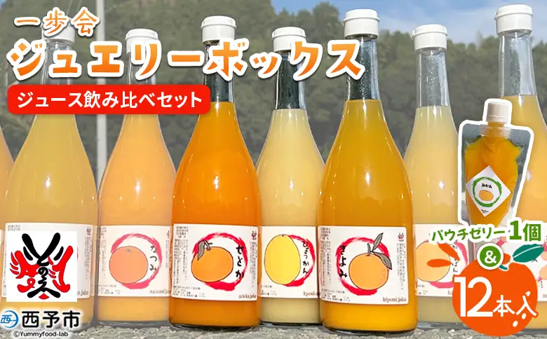 ＜一歩会 ジュエリーボックス ジュース飲み比べセット 720ml×12本 パウチゼリー1個＞『1か月以内に順次出荷予定』果汁100%ストレートジュース 愛媛 みかん ミカン 柑橘 果物 フルーツ 特産品 渡江から一歩を踏み出す会 飲んで応援 愛媛県 西予市【常温】ATI0063
