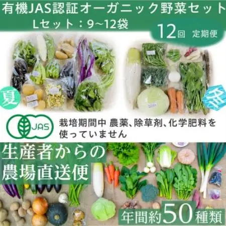 【毎月定期便】有機野菜　Lセット　オーガニック 野菜セット　有機JAS認証　しあわせ野菜畑　全12回【配送不可地域：離島・北海道・沖縄県・四国・九州】【4013497】