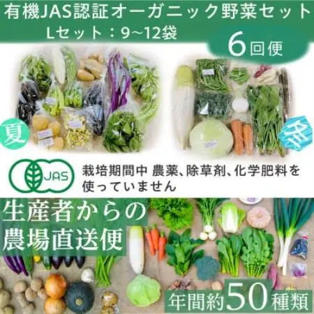 【毎月定期便】有機 野菜　Lセット　オーガニック野菜 セット　有機JAS認証　しあわせ野菜畑全6回【配送不可地域：離島・北海道・沖縄県・四国・九州】【4013498】