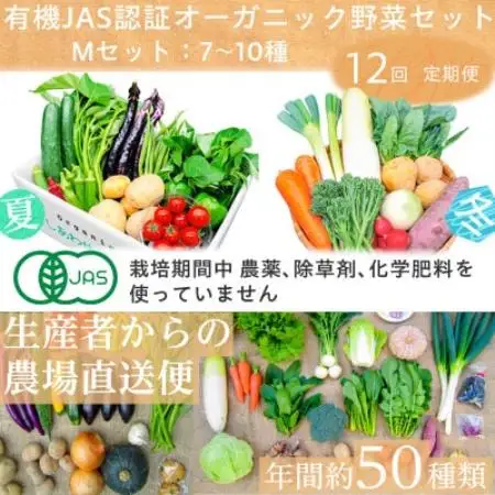 【毎月定期便】有機野菜　Mセット　オーガニック 野菜 セット　有機JAS　しあわせ野菜畑　全12回【配送不可地域：離島・北海道・沖縄県・四国・九州】【4013499】