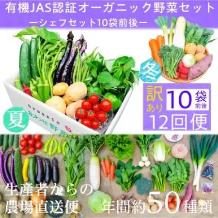 【毎月定期便】【フードロス対応・規格外野菜利用】　有機野菜　シェフMセット　オーガニック野菜全12回【配送不可地域：離島・北海道・沖縄県・四国・九州】【4013501】