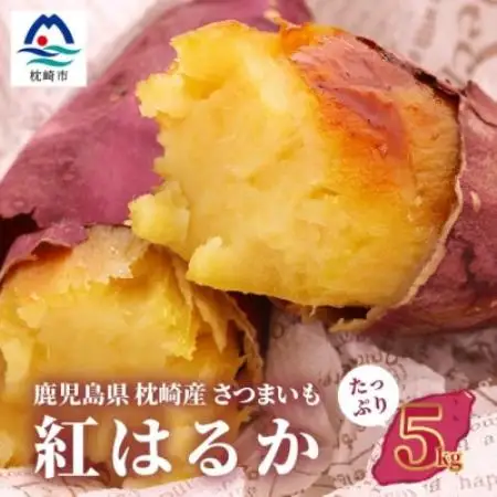 紅はるか ＜5kg＞ 野菜 サツマイモ さつまいも 鹿児島県 A6-16【配送不可地域：離島】【1167022】