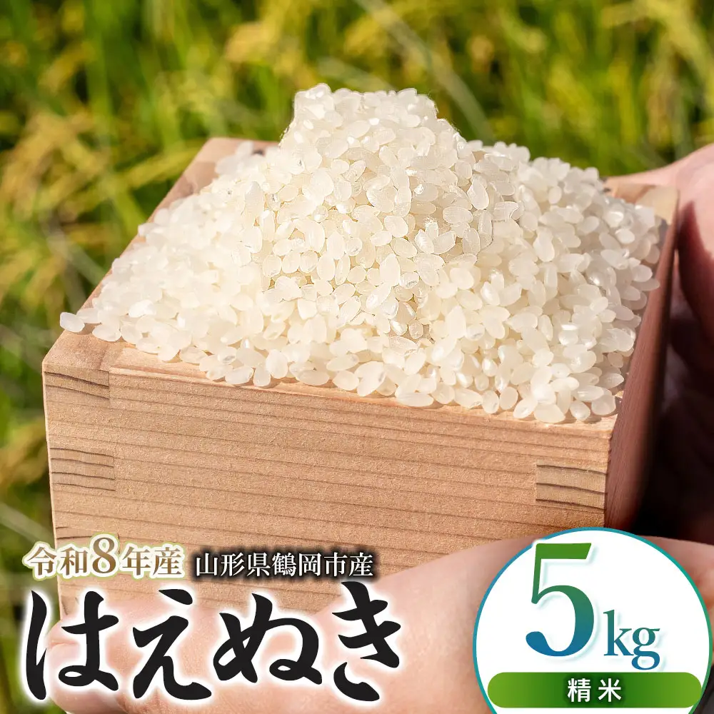 【令和8年産 新米】はえぬき精米5㎏（5kg×1袋）K-830 馬町さくらファーム