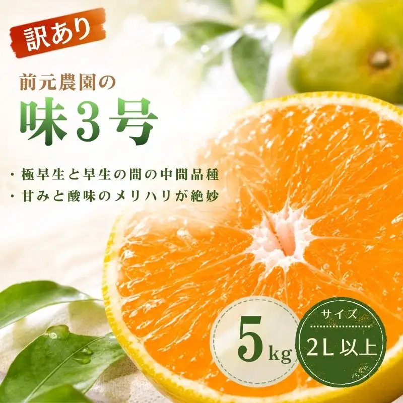 みかん 訳あり 前元農園の味3号 5kg  2L以上(大サイズ)【mmg044】