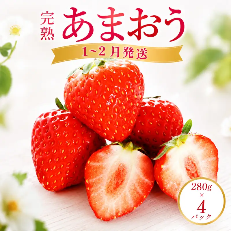 【2027年1月から2月発送予定】いちご 完熟いちご あまおう 280g×4パック TJI