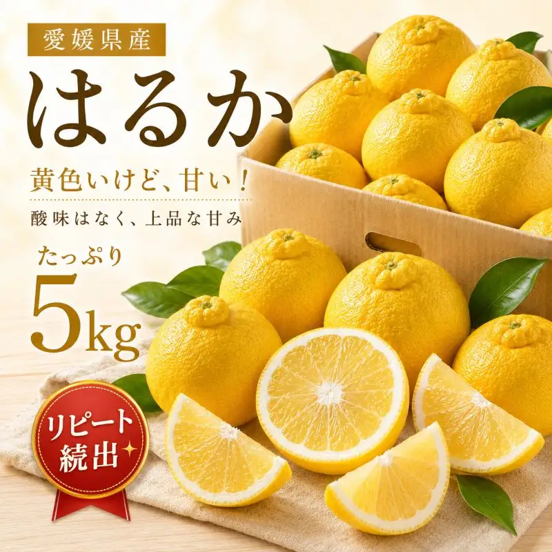はるか 約5kg 家庭用 【2027年2月中旬頃から順次発送】 はるか 【DRM009】