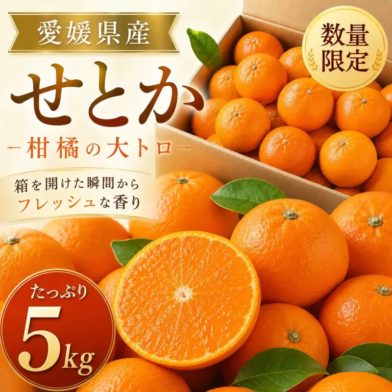 せとか 約5kg 家庭用 【2027年2月中旬頃から順次発送】 せとか 【DRM012】