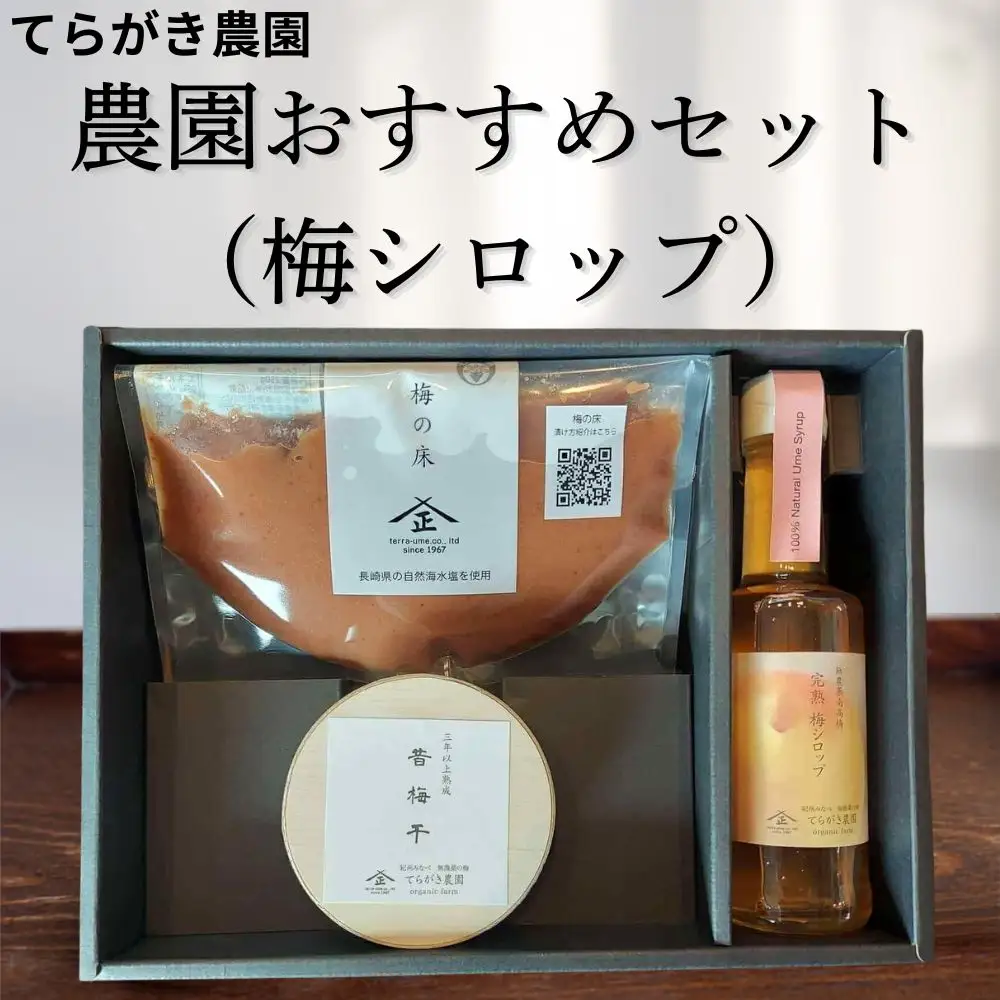 てらがき農園 農園おすすめ梅シロップセット ｜ 梅干し 梅干 うめぼし 和歌山県 みなべ町 詰め合わせ セット ギフト 贈り物 プレゼント 【trgk007】