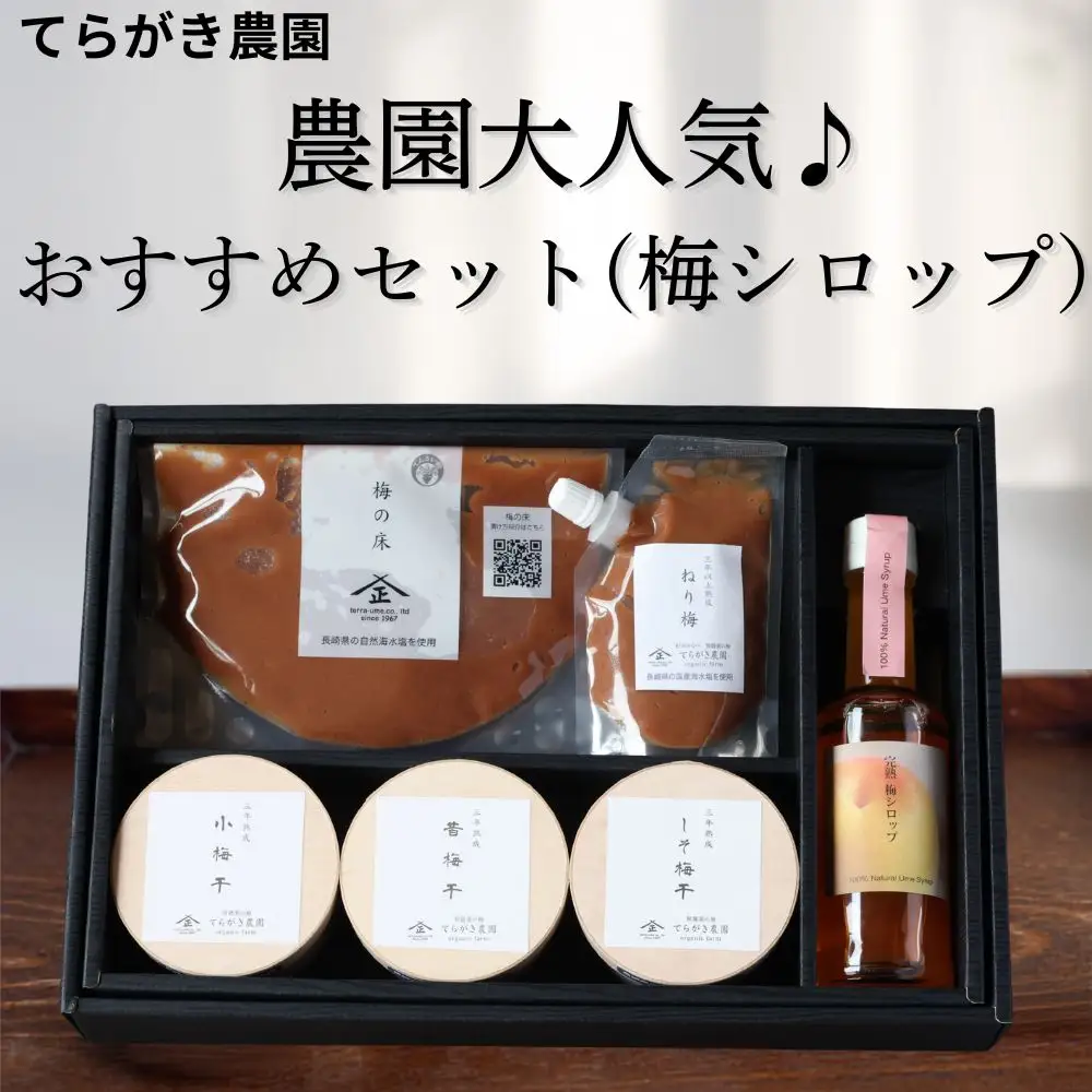 てらがき農園 農園大人気♪ おすすめ梅シロップセット ｜ 梅干し 梅干 うめぼし 和歌山県 みなべ町 詰め合わせ セット 【trgk009】