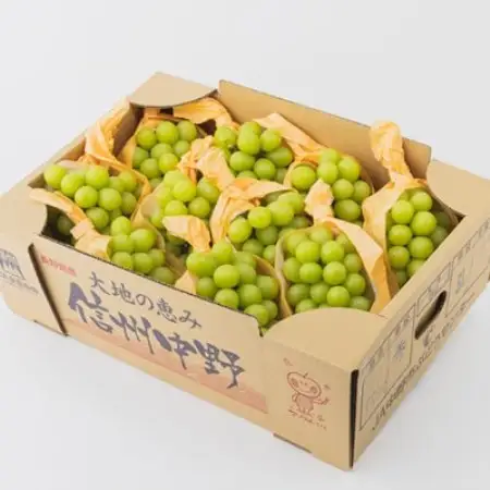 【2026年発送】【訳あり】JA中野市のシャインマスカット　約5kg(9房～10房)【配送不可地域：離島】【1759343】