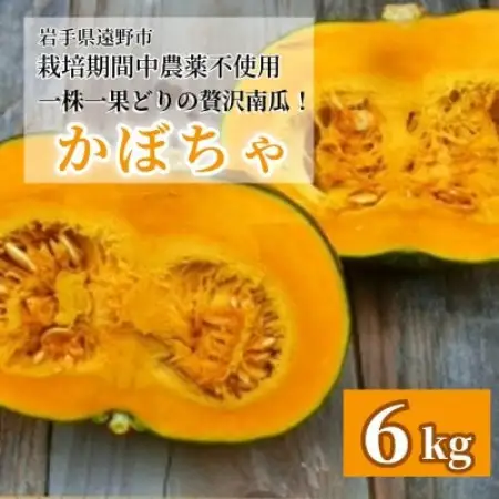 【甘い粉質系】かぼちゃ(6kg)栽培期間中農薬、動物性化成等不使用 遠野もぐもぐカントリー【1765594】