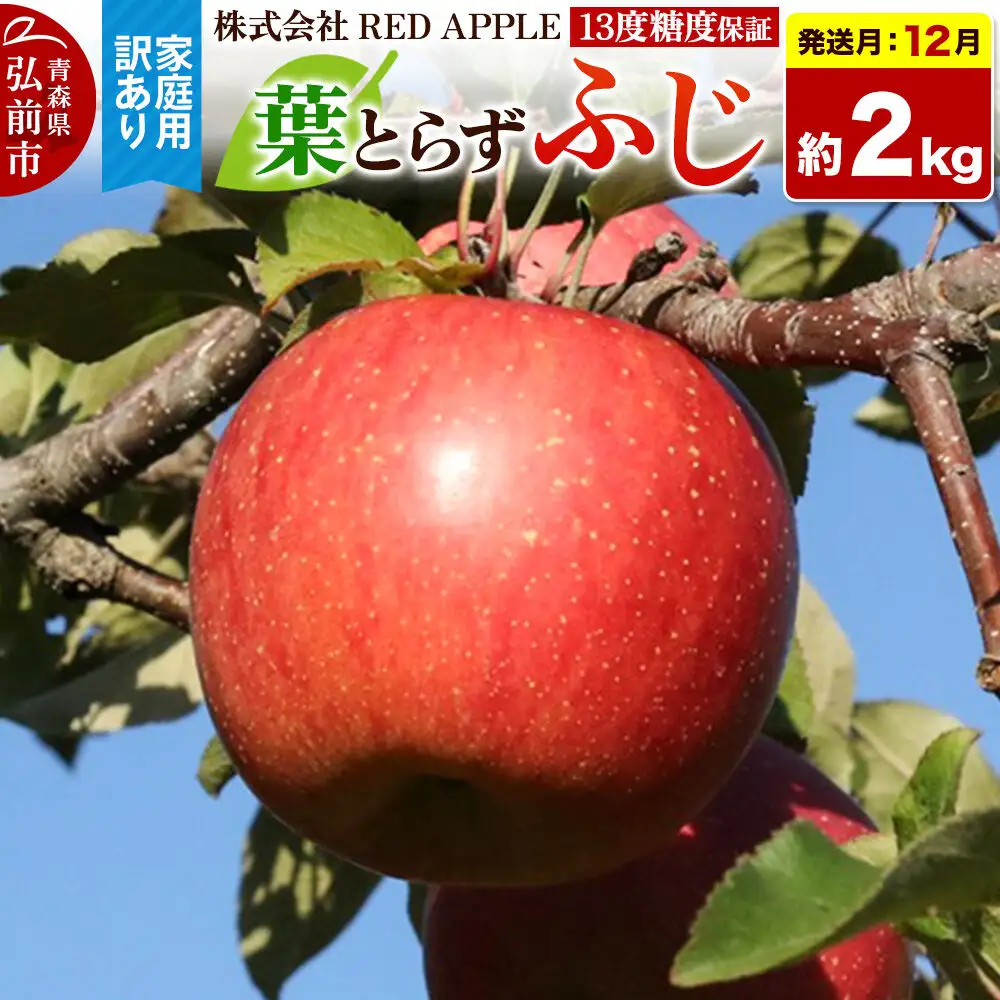 【26年12月発送】りんご 葉とらずふじ【訳あり】家庭用 約2kg 13度糖度保証 先行受付