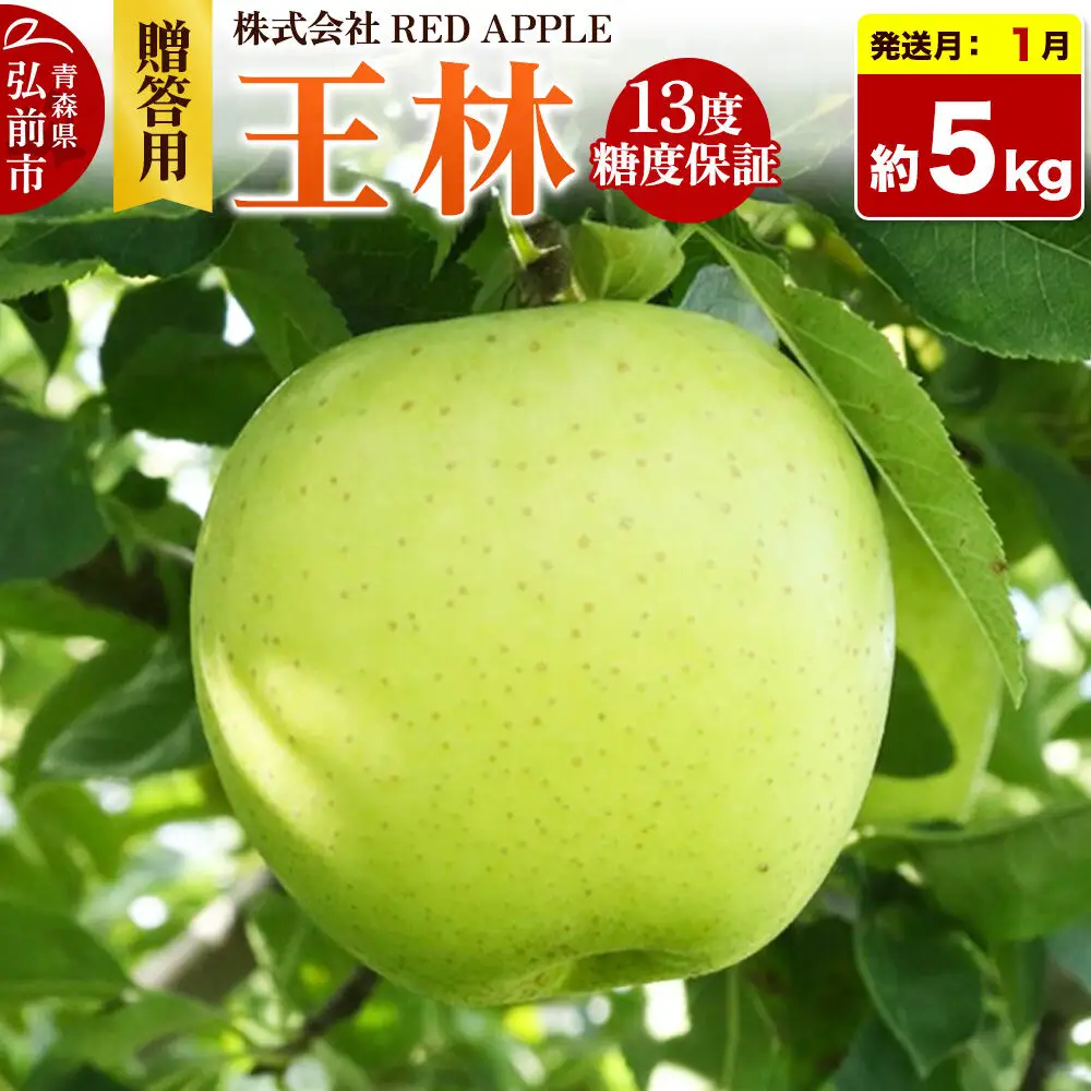 【27年1月上旬～発送】りんご 13度糖度保証【贈答用】王林 約5kg 先行受付