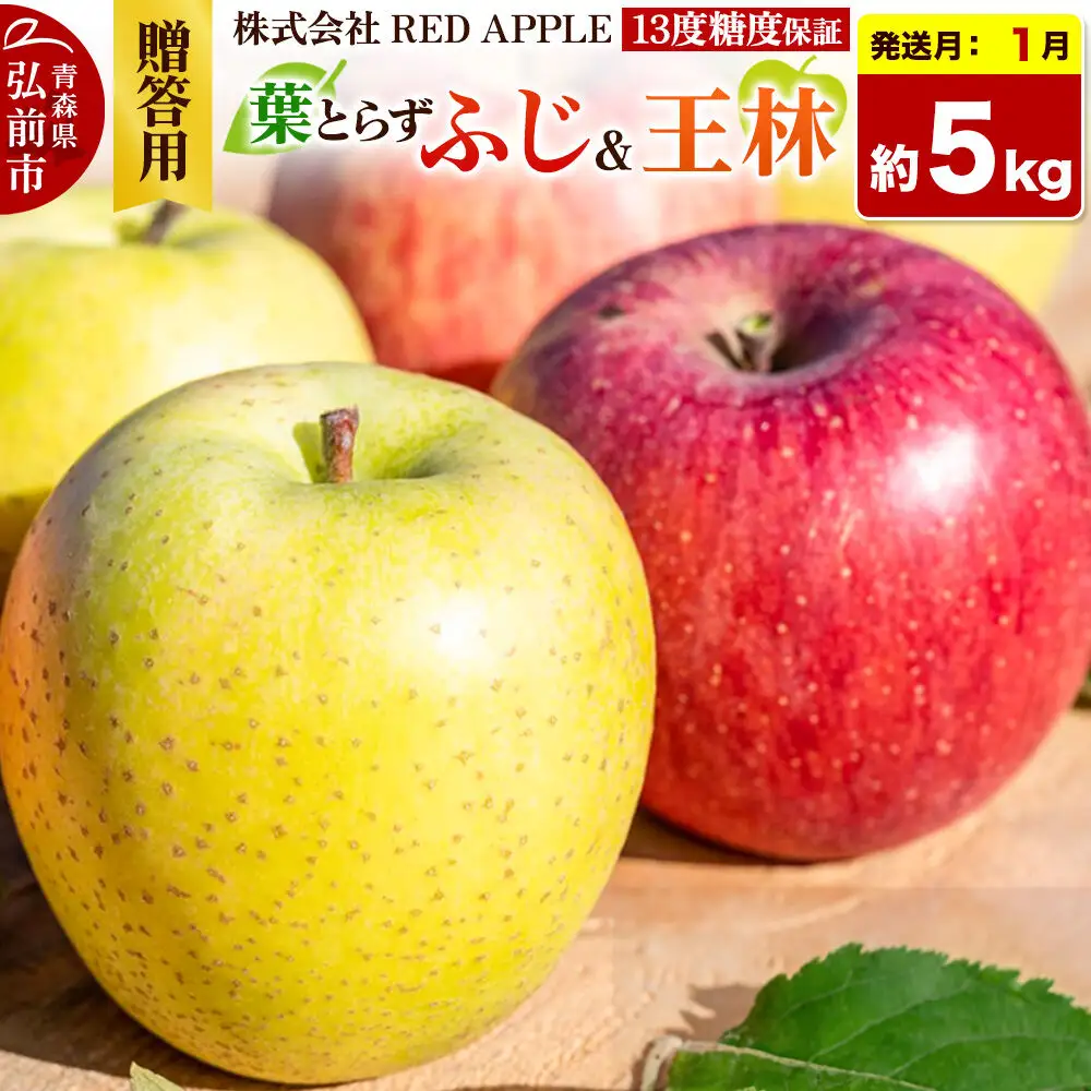 【27年1月上旬～発送】りんご 13度糖度保証【贈答用】葉とらずふじ＆王林 約5kg 先行受付