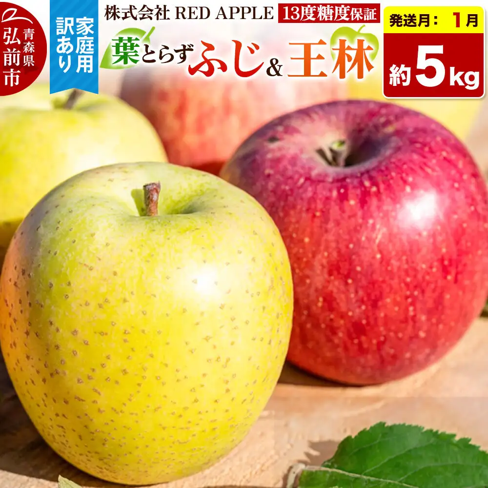 【27年1月上旬～発送】りんご 13度糖度保証【訳あり】家庭用 葉とらずふじ＆王林 約5kg 先行受付