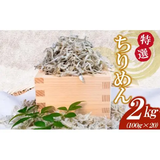 【しらす】かちり 1.6kg(200g×8) しらす