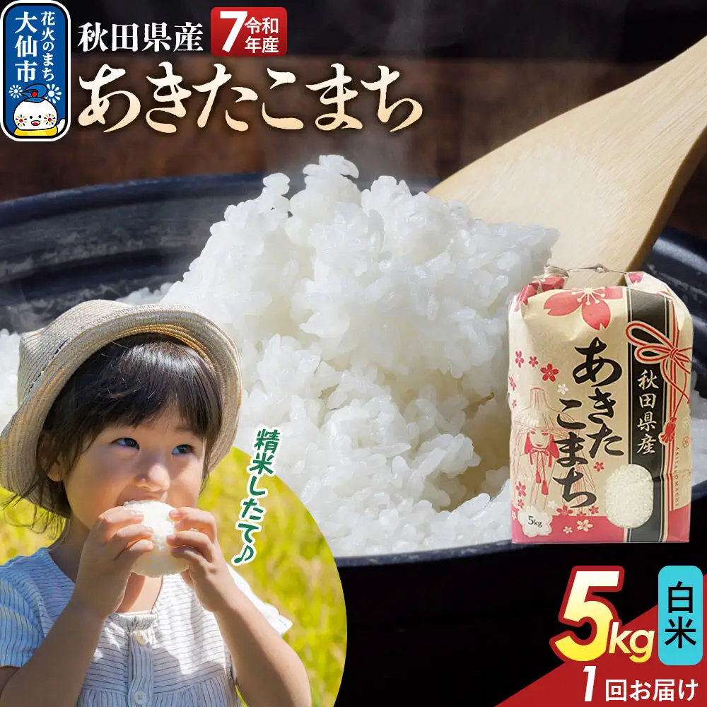 【白米】あきたこまち 5kg 秋田県産 令和7年産  こまちライン 秋田県 大仙市産